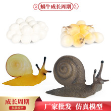 �������ģ���J֪���Ͻ̾�����С����΁ţ�����tΛρ���u���L����