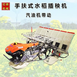 汽油机带手扶式秧苗种植插苗机 4行水稻机动插秧机水稻栽苗设备