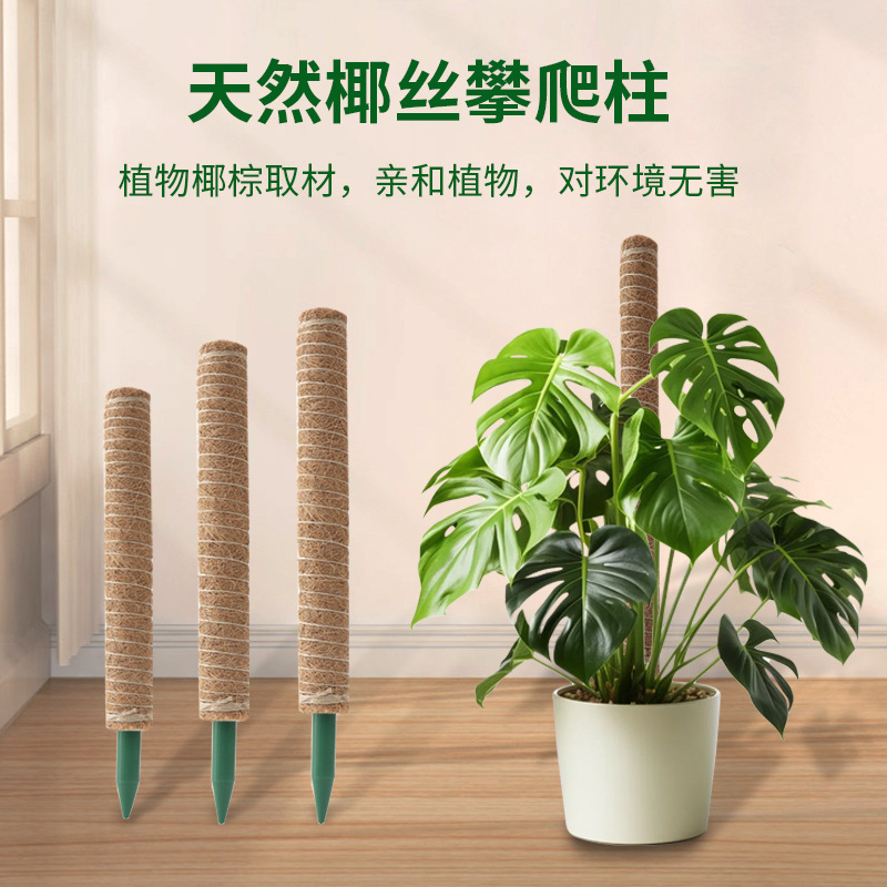 龟背竹支撑杆绿箩攀爬柱椰棕棒绿萝固定架植物爬藤花架棕榈柱椰丝