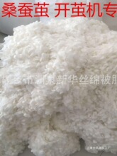 大个桑蚕精干茧 现场开茧机抽丝机可用 蚕丝原料蚕茧球 蚕丝厂