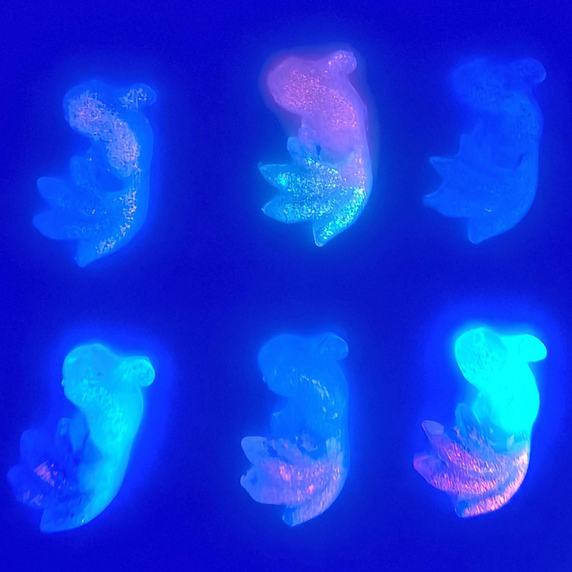 美甲饰品金鱼极光渐变锦鲤diy立体装饰配件批发0007.jp