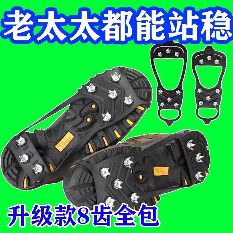 한 쌍에 8개의 치아