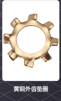 304不锈钢止动锁紧外齿垫圈_02_03.jpg