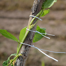 ���������K���z���\�F�����F�z���ѽ��z�����Դ���^����������