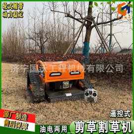 果园草坪割草机 无线遥控除草机 小型履带割草机器图片