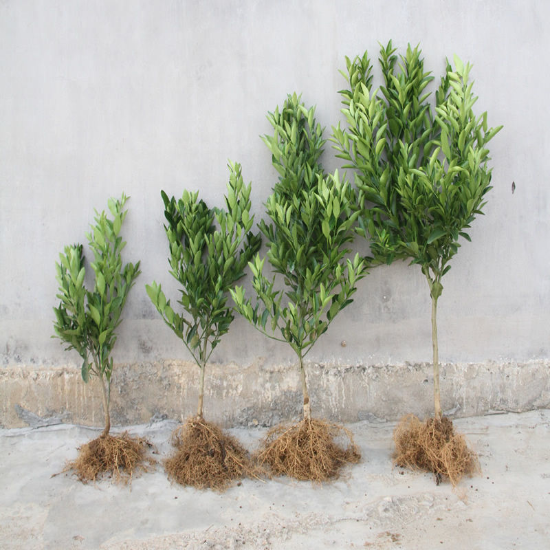 d36fea02-2e97-476c-bde9-8ebb63