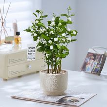 �ذ����򻨝����ͻ����辰�������ԾGֲ����x�ļ��_�����B����