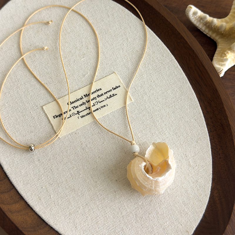 20250613-2025_06_13_13_03_IMG_