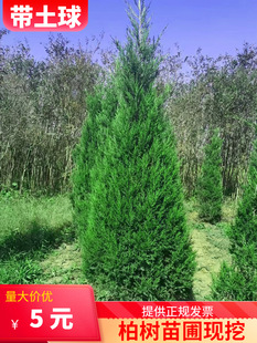 �������򡿰ؘ�������؂Ȱر���ɰؘ���������u�����ɰ�ľ����