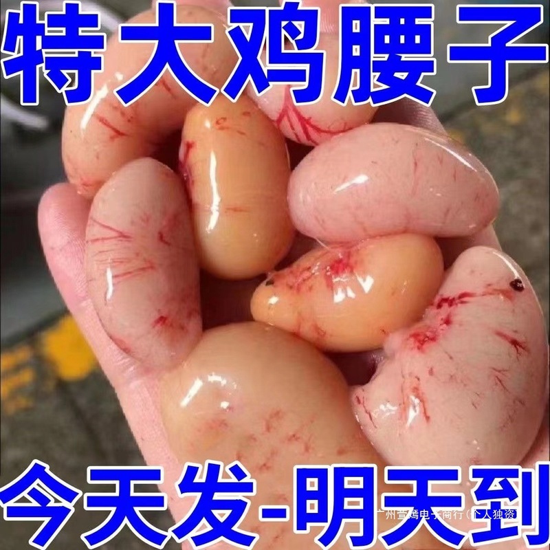 ルースエイドリーウエスト、新鮮な大きな冷凍鶏卵、若者向けの栄養価の高い鶏、鶏の腎臓、新鮮な卸売|undefined