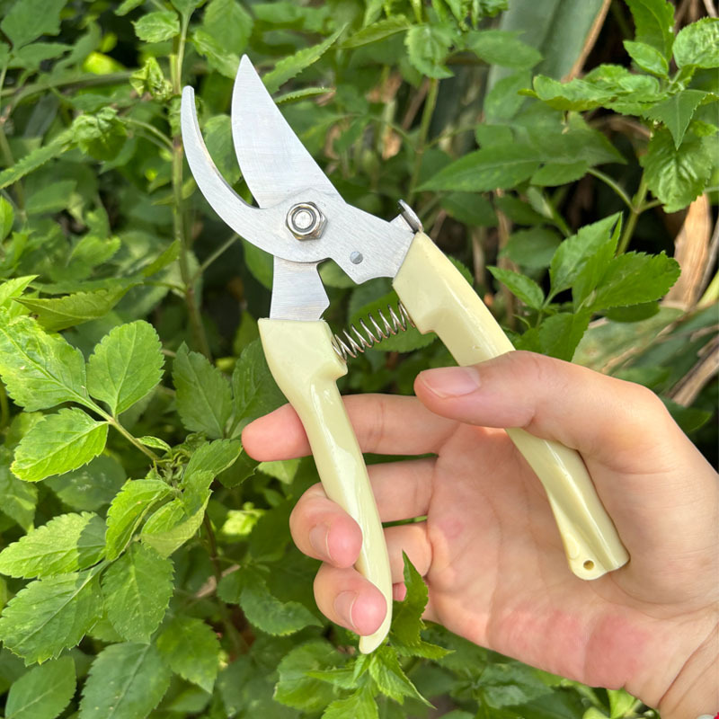 果树剪刀修枝剪专用花枝花卉摘果剪树枝剪刀绿化嫁接园林花艺剪子