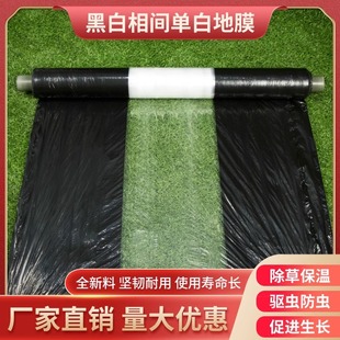 Agricultural Black and White Mulch Film Double White Single Silver White Black Two-Color Reflective Corn Vegetable Medicinal Building Film Multi-Functional