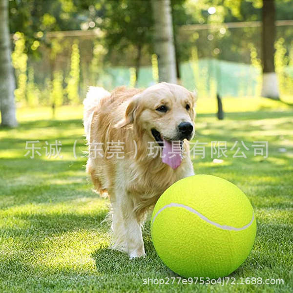Tennis inflatable toy