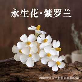 永生花;鲜花花艺制品;香皂花