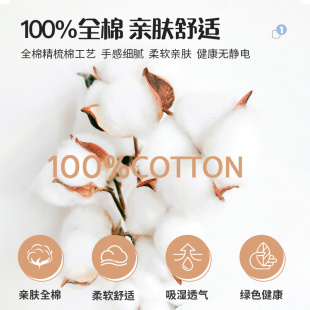 ⇝ 2025 New Pure Cotton Pillowcases Pair 100 Internet Celebrity Pillowcases Single 48Cmx74Cm Latex Whole