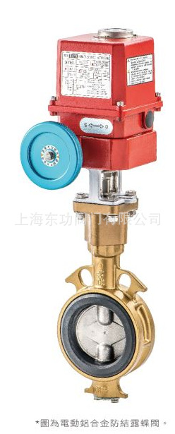 台湾RING东光UM-2-1/R-5電動蝶閥ELECTRIC BUTTERFLY VALVE