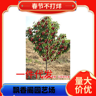 �������l�����簫��������S�ۙ�����F�ڬF�u���_˹8̖���Ҙ���