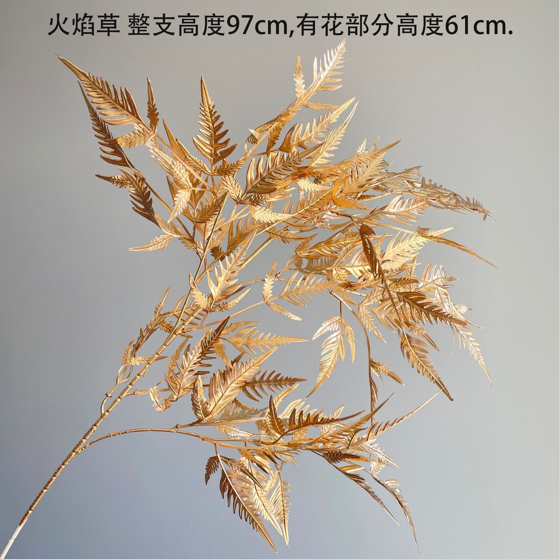 SKU35_颜色_火焰草