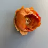 Caramel colour