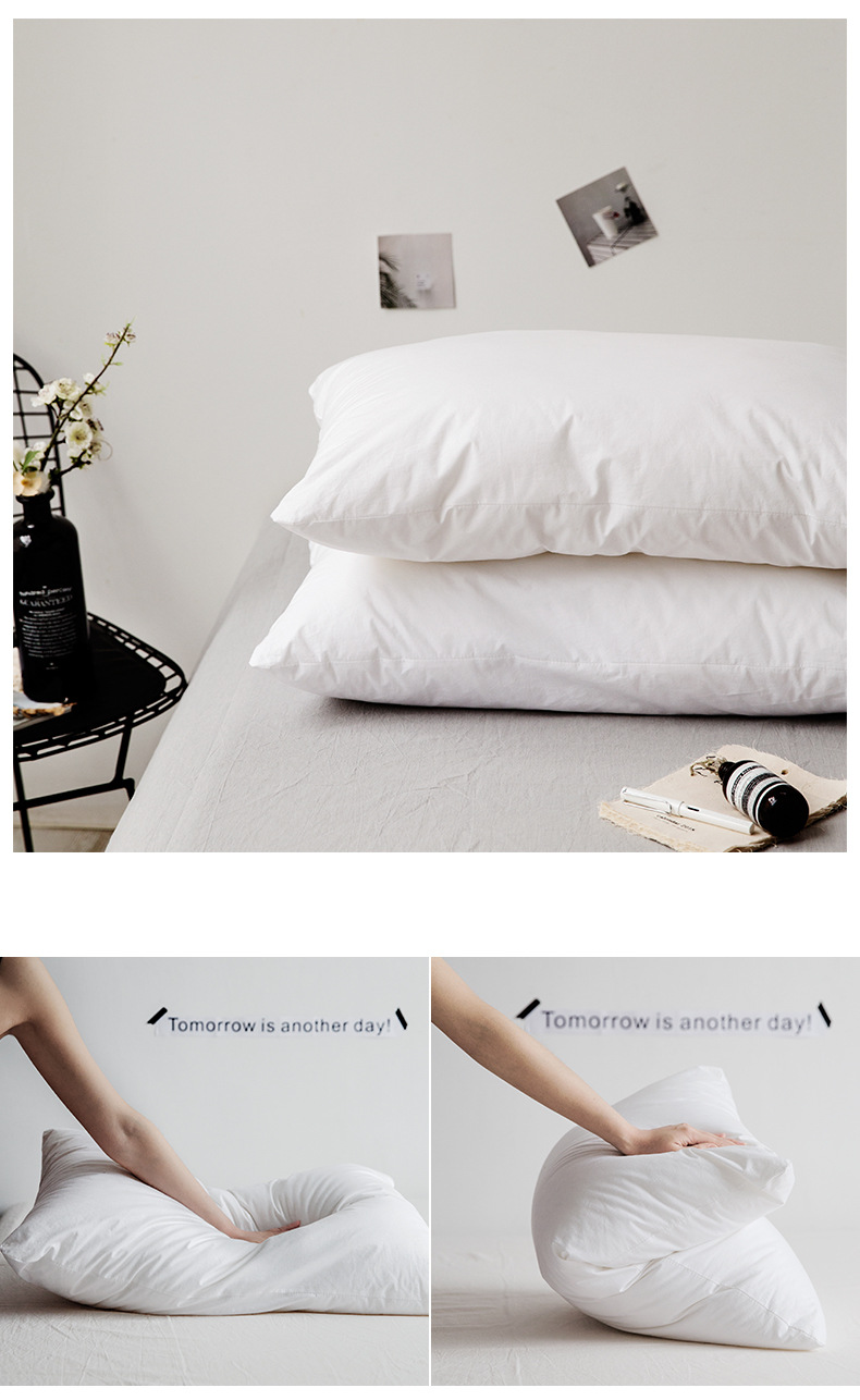 颜色分类-全棉蓬松羽丝绒安睡枕_02