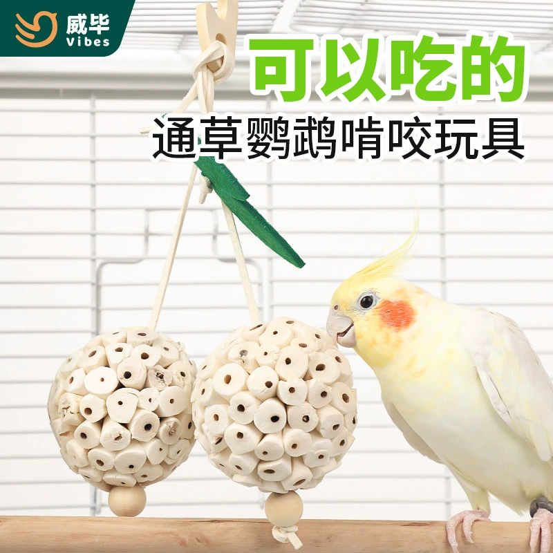 Попугай Tongcao Ball кусает птичьи игрушки, играет, жует, выжевывает волосы