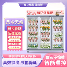 �����r�����r�r�����L��o˪��ˇ����p�T���T�S�ҹ���