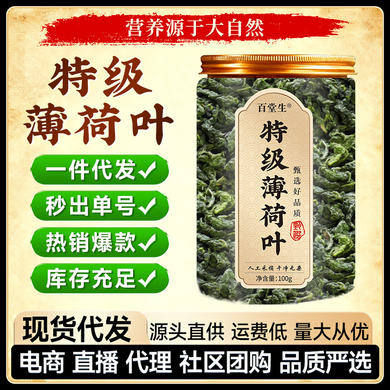 Premium Mint Leaves, Commercial Mint Tea, Fresh Edible Dried Mint, Canned Substitute Tea, Health Tea, Soaked Herbal Tea