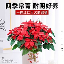 һƷ�t�����ļ����B���̨�͏d�����՚���B�}�Q�^�������r��ֲ��