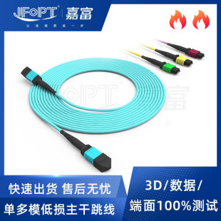 Mpo Multi-Mode Pre-Made Branch Fiber Optic Patch Cord Om3 Multi-Mode Low-Loss Fiber Optic Patch Cord 4 8 12 24 Cores