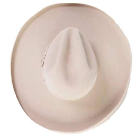 New French pure top beige wool hat_voghion.com