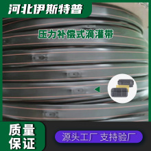 䳣ֲ{ݮNֲ16mmɽصιaι