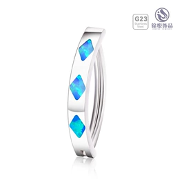 鼻饰;唇饰;耳环