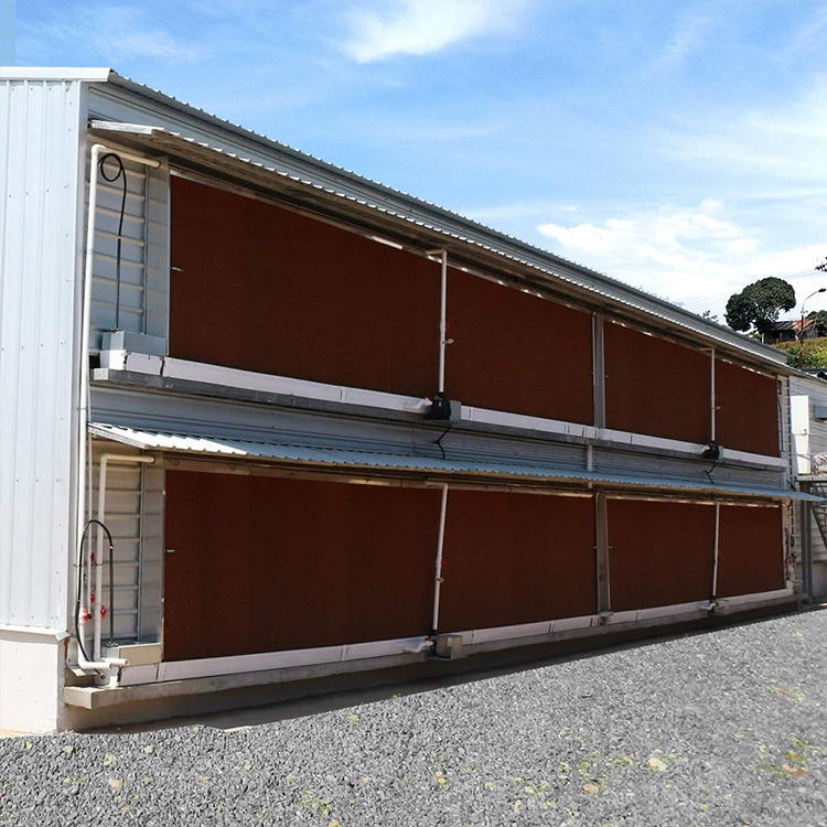 Современный сборный курятник из стальных конструкций для экспорта, птичник из стальных конструкций