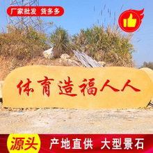 园林景观黄蜡石 福州大型切片石刻字黄水石直发  草坪绿地假山石
