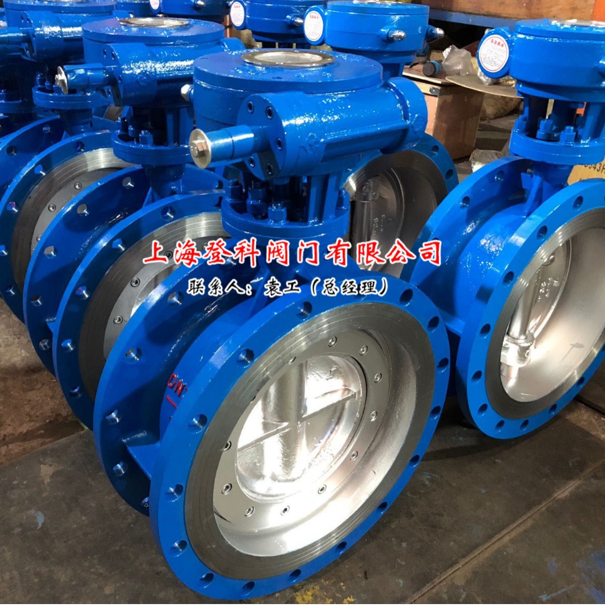 D341H-25C DN300 铸钢蝶阀 涡轮蝶阀 手动蝶阀硬密封 三偏心 WCB