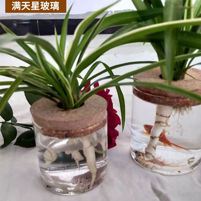 Микроландшафтный эко-бутылка гидропонное растение цветочный горшок стеклянная прозрачная ваза аквариум сосуд для сушеных цветов цветочная утварь для гостиной
