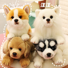 萌宠狗狗仿真柯基金毛博美拉布拉多毛绒玩具宠物抱枕生日礼物男女