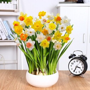 ˮ�ɻ��N���҃�ˮ�����B������ˮ�ɷN�����ֲ���ļ��^�������B��