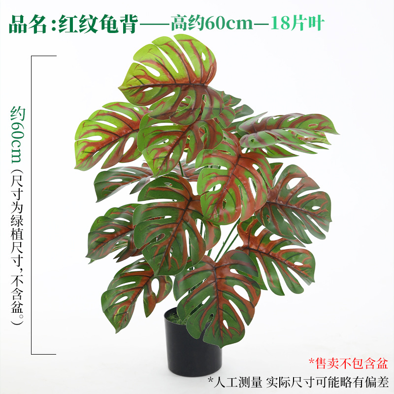 18葉の赤い縞模様の亀の葉