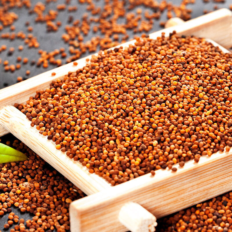 Sha Yuan Zi Tea Slices 500g Dried Flatstem Milkvetch Seed for Daily Herbal Infusions specifications
