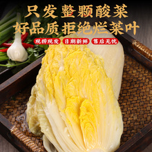 东北酸菜整颗传统工艺大缸腌制农家特产酸白菜黄芯菜整箱10斤