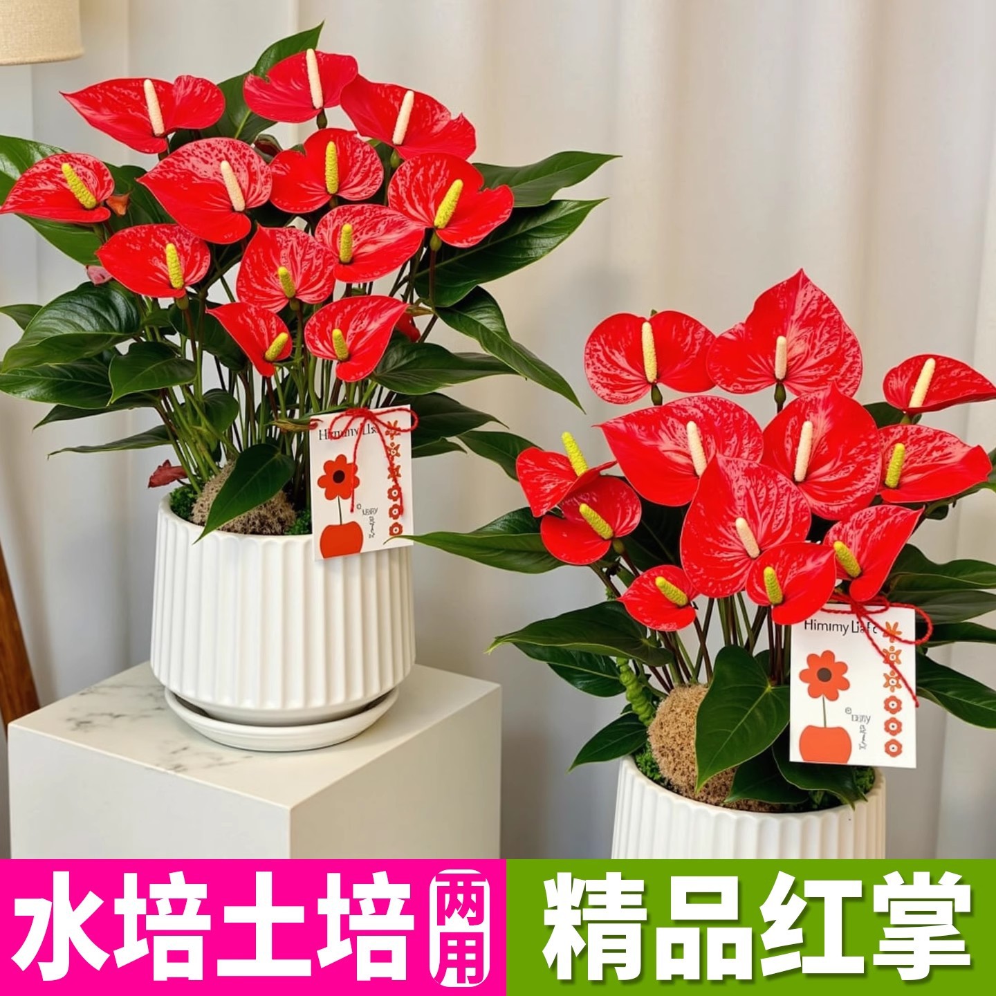 商品图