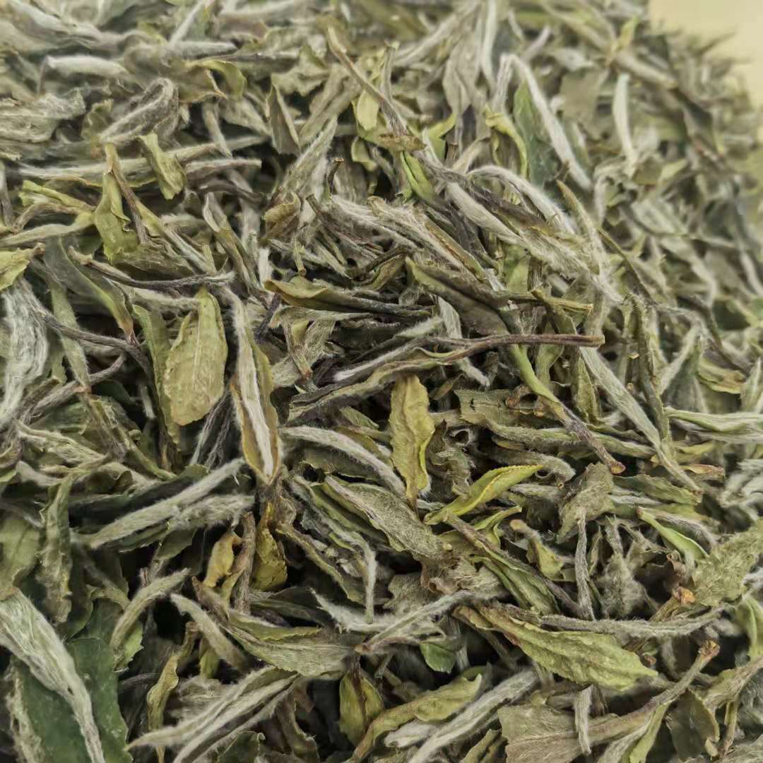 微信图片_202106101402094