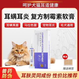 �ͷ���ù����ܛ�����ﹷ��؈����\����ș�R��ɫ�����������Ⱦș