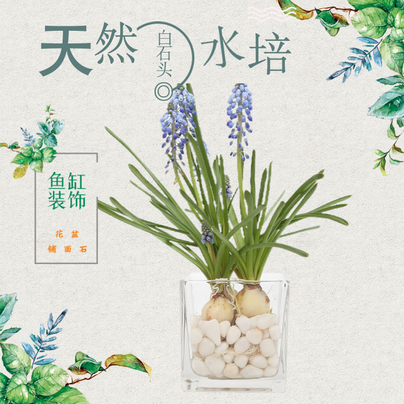 瑞景石水栽培花、小さな白い石、多肉植物舗装石、小石、雨花石、水槽造園鉢植え工場|undefined