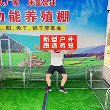 �ߵ��u�\�����\���B�u�����ܵ��Ȍ������u�F�z�\���������_������