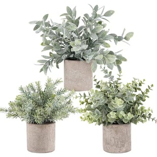 Cross-Border Amazon Cylindrical Pulp Simulation Potted Plant Combination Desktop Simulation Green Plant Ornaments Fake Flower Bonsai Decorations