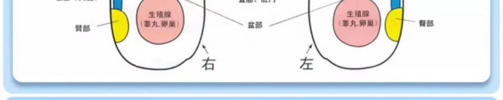 c5b407ff-ba2e-443c-9efb-b5d302fbcdfb.jpe