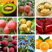 ���l����N����J�����y��ë��ܛ����÷ľ�Ϻ�����ľ�N��ˮ��40�N