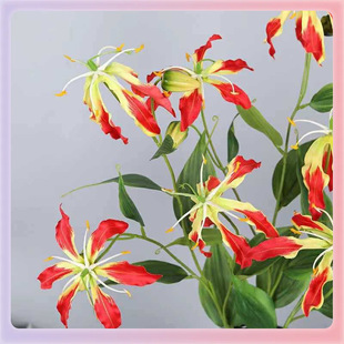 ?���m����ٺϻ���ͩ��Y�û�c�廨���̵���ܛ�b�S�����l��